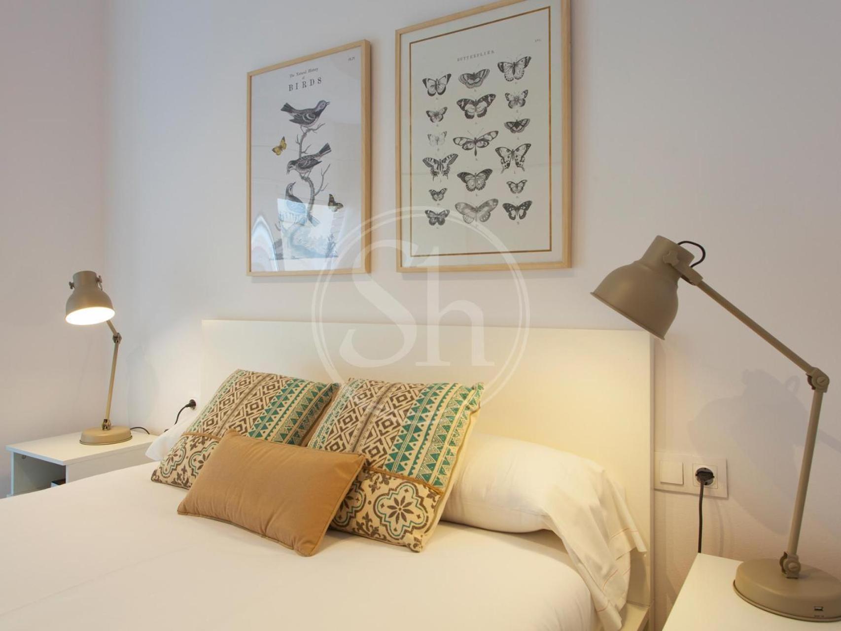 Agradable Y Luminoso Ideal 5 *